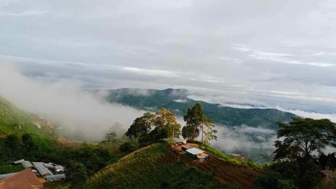Photo of Others in Mae Rim