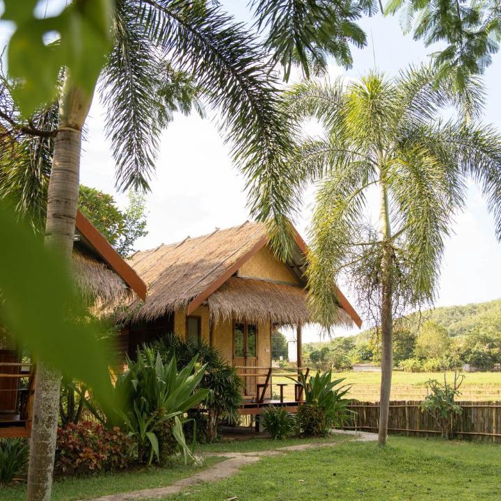 Photo of Others in Pai