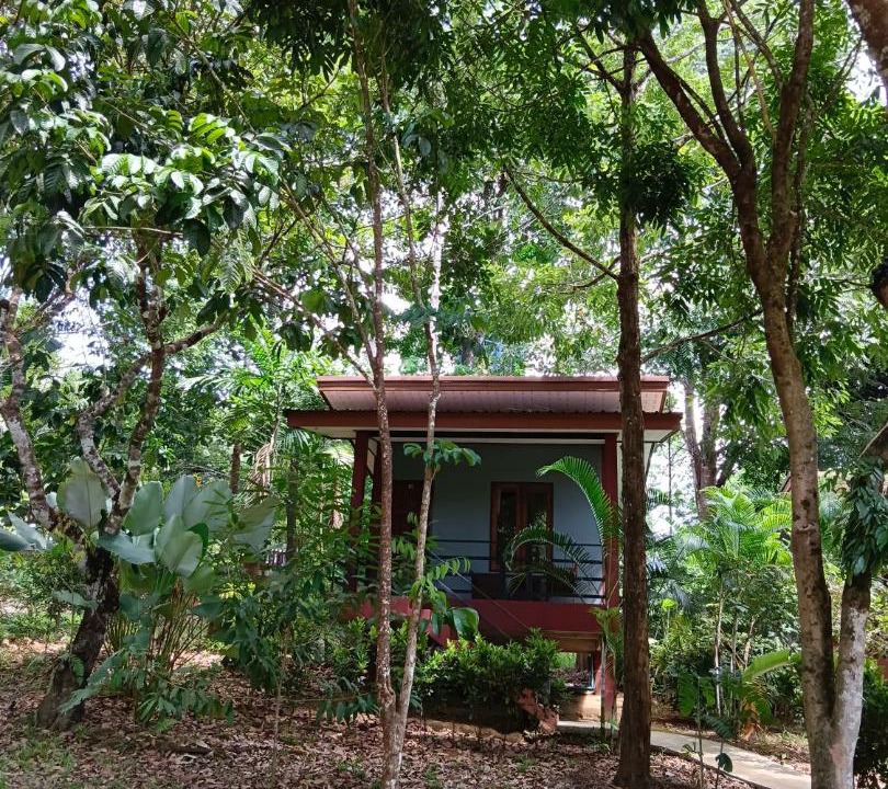 Photo of Others in Khlong Sok