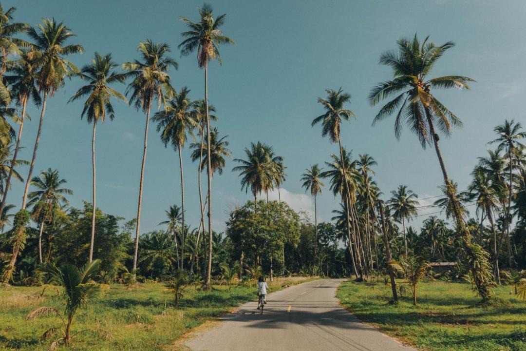 Photo of Others in Bang Mak