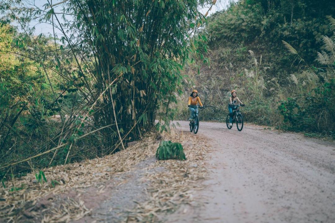 Photo of Others in Kenue Kang