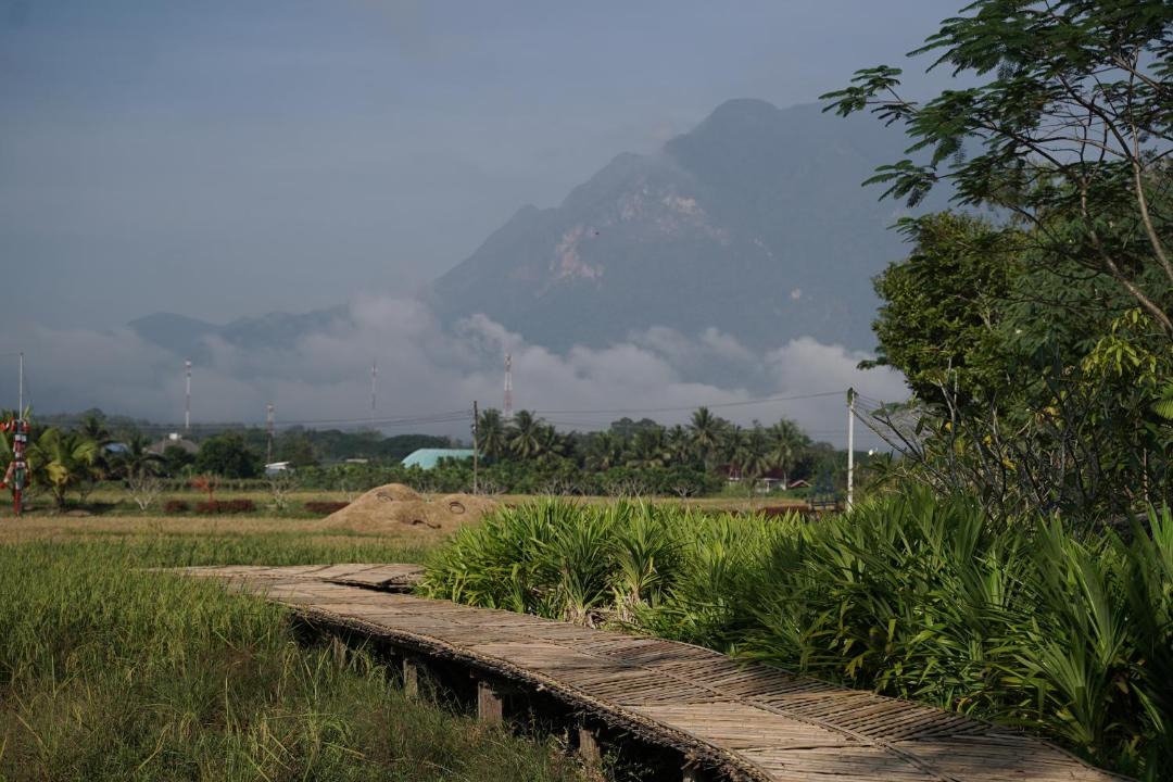 Photo of Others in Chiang Dao