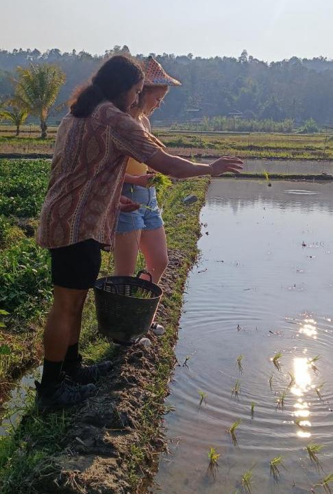 Photo of Others in Mueang Pan