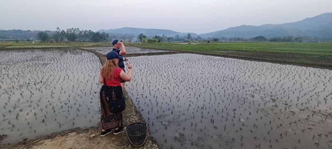 Photo of Others in Mueang Pan