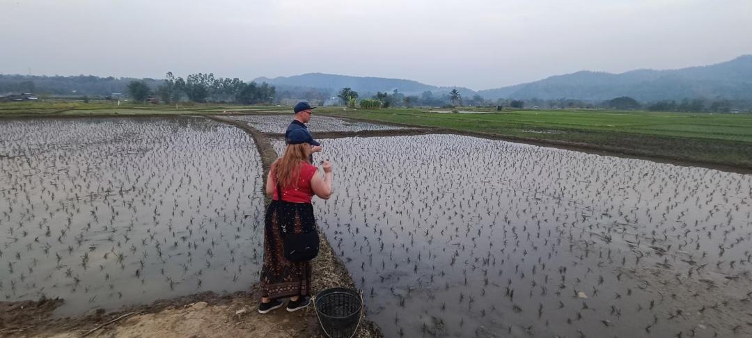 Photo of Others in Mueang Pan