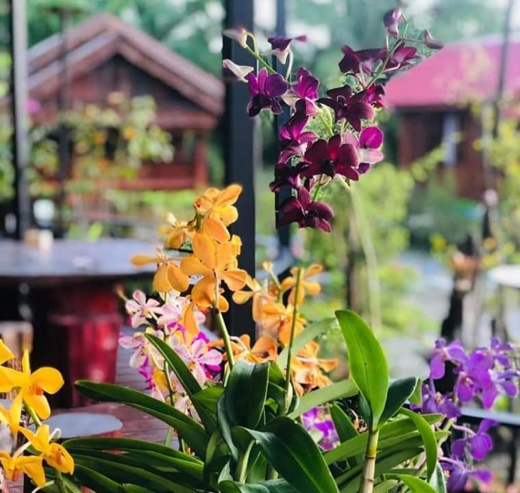 Photo of Others in Sao Phao
