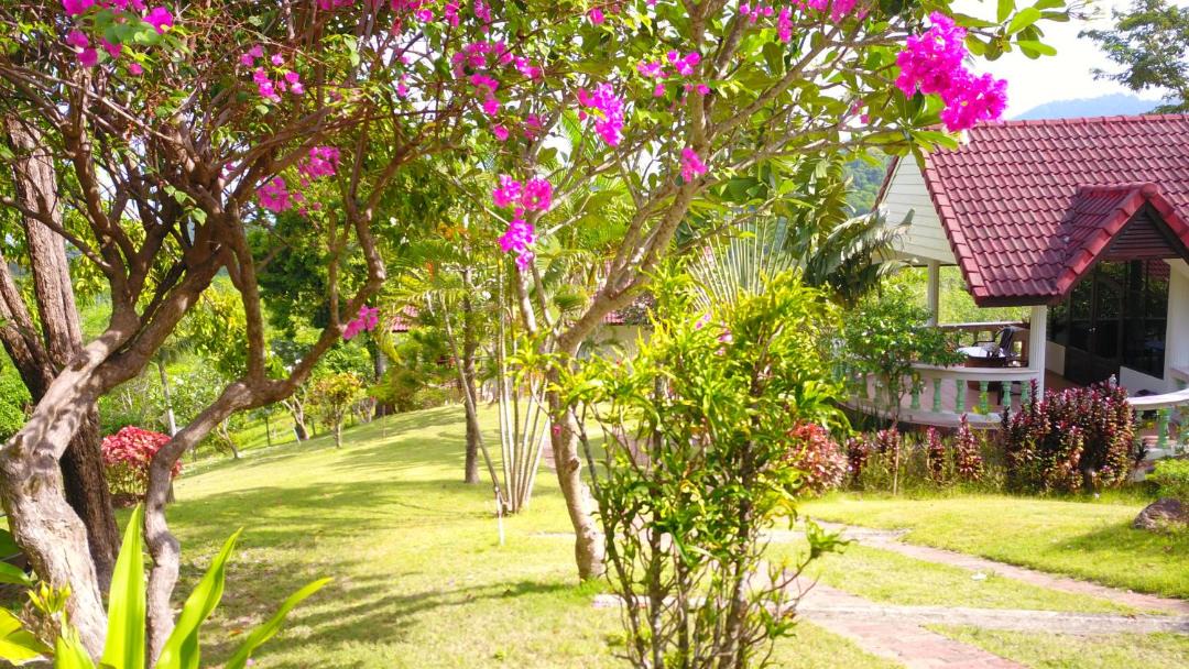 Photo of Others in Ko Lanta