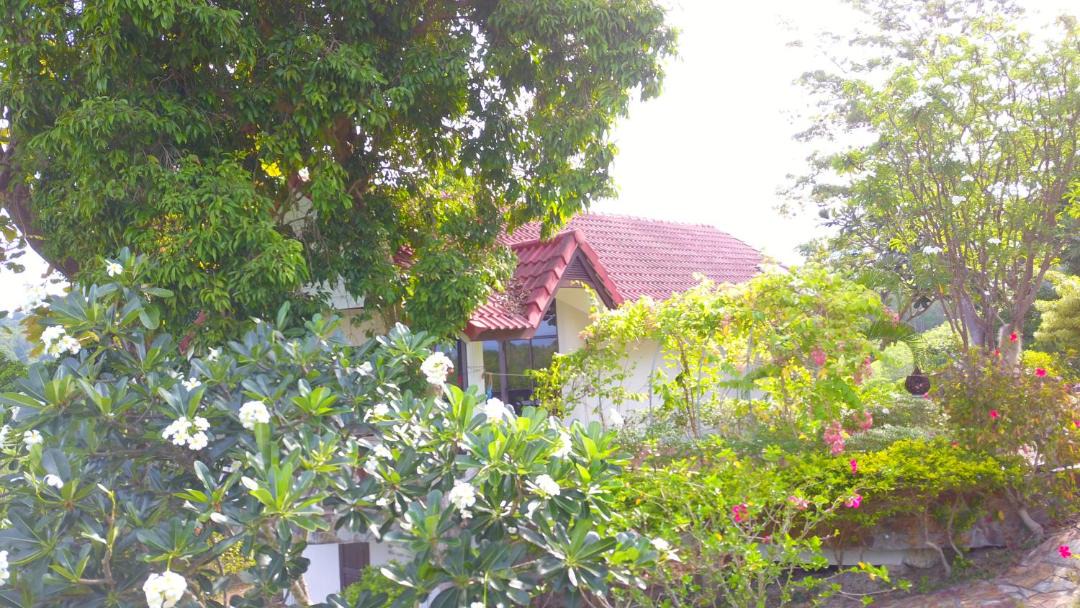 Photo of Others in Ko Lanta