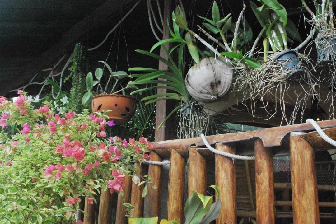 Photo of Others in Cherngtalay