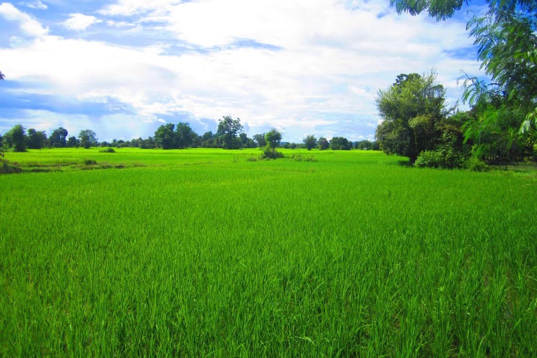 Photo of Others in Muang Khong