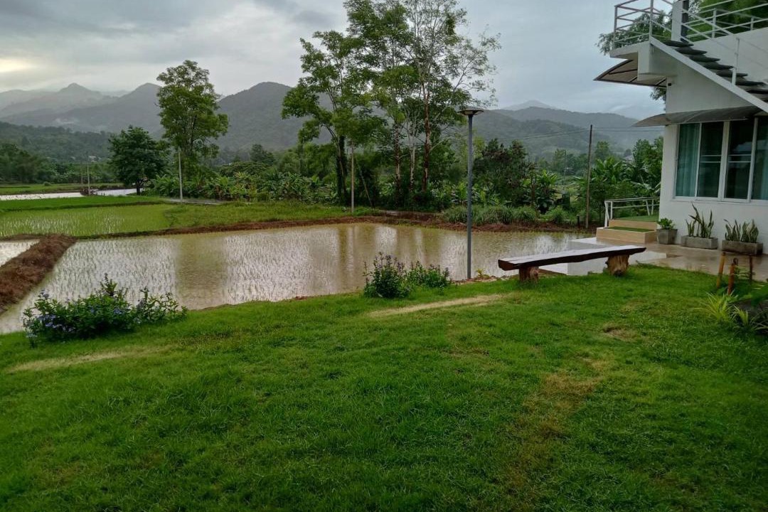 Photo of Others in Pua