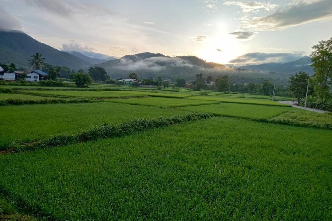 Photo of Others in Pua