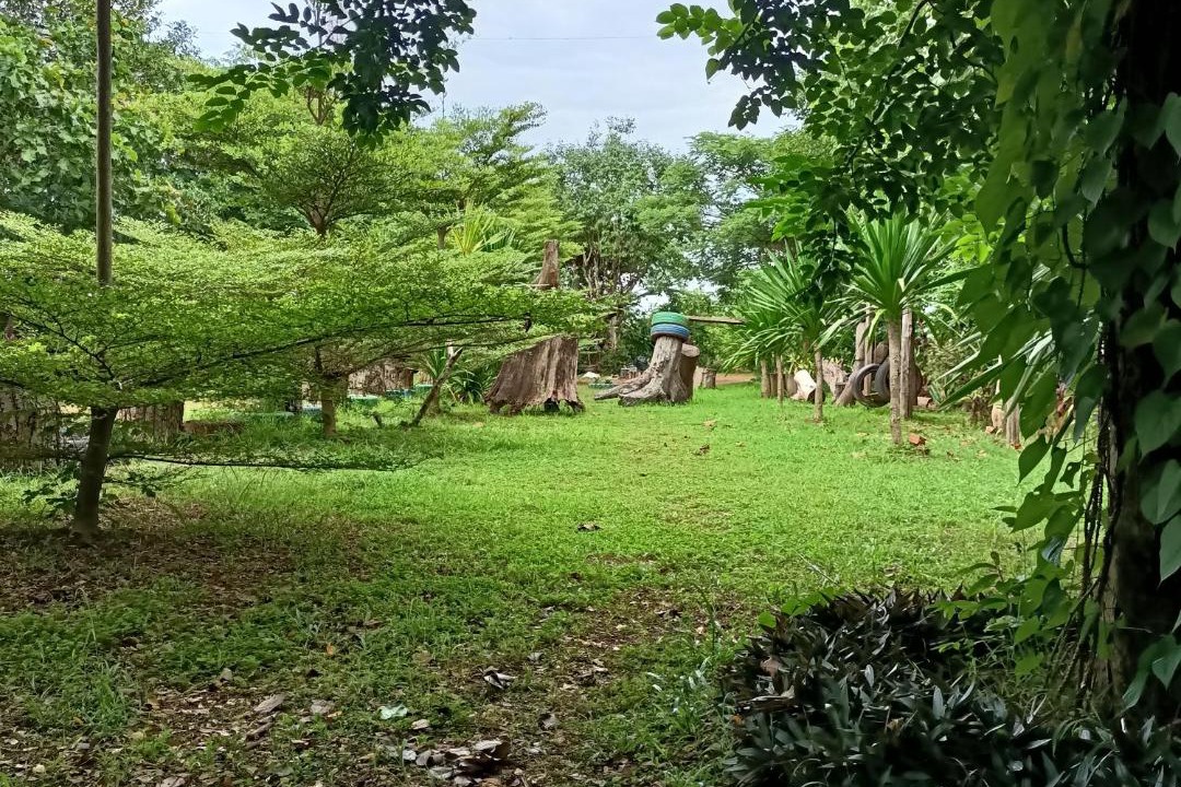 Photo of Others in Dongmakkhai