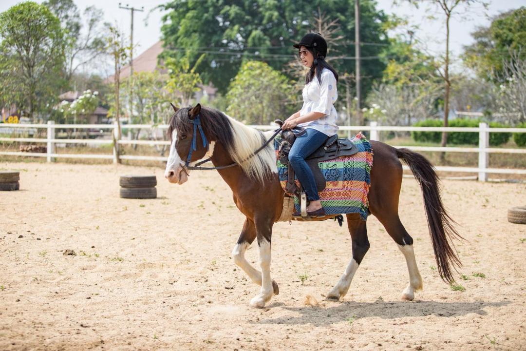 Photo of Others in Nong Ya Plong
