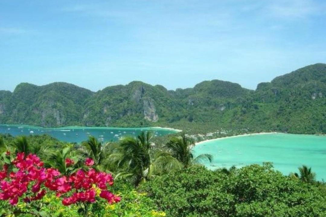 Photo of Others in Ko Phi Phi