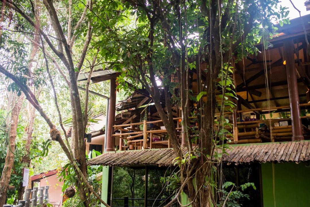 Photo of Others in Mae Chaem