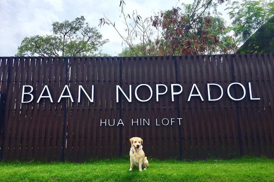 Photo of Others in Hua Hin