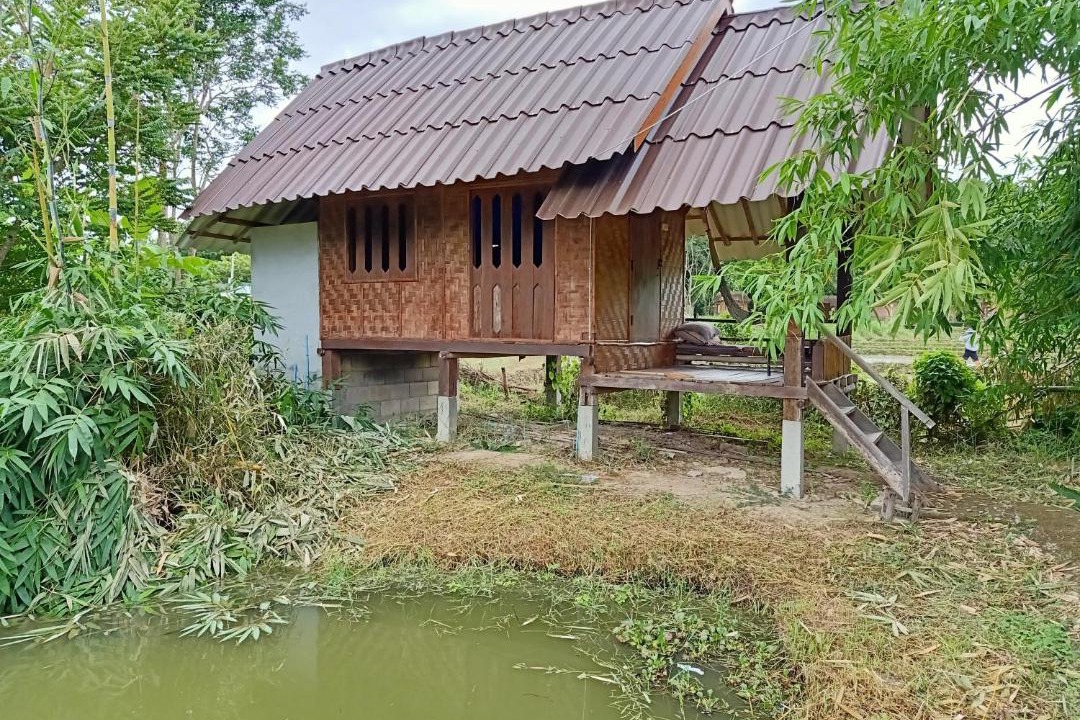 Photo of Others in Pai