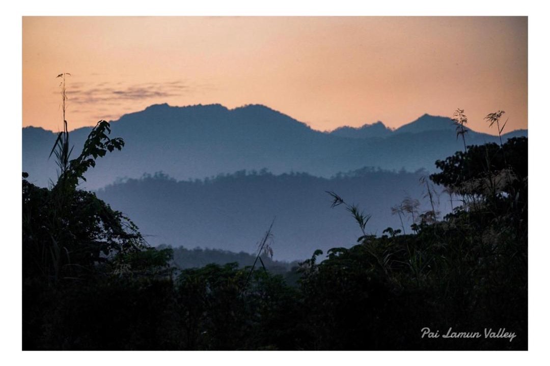 Photo of Others in Pai