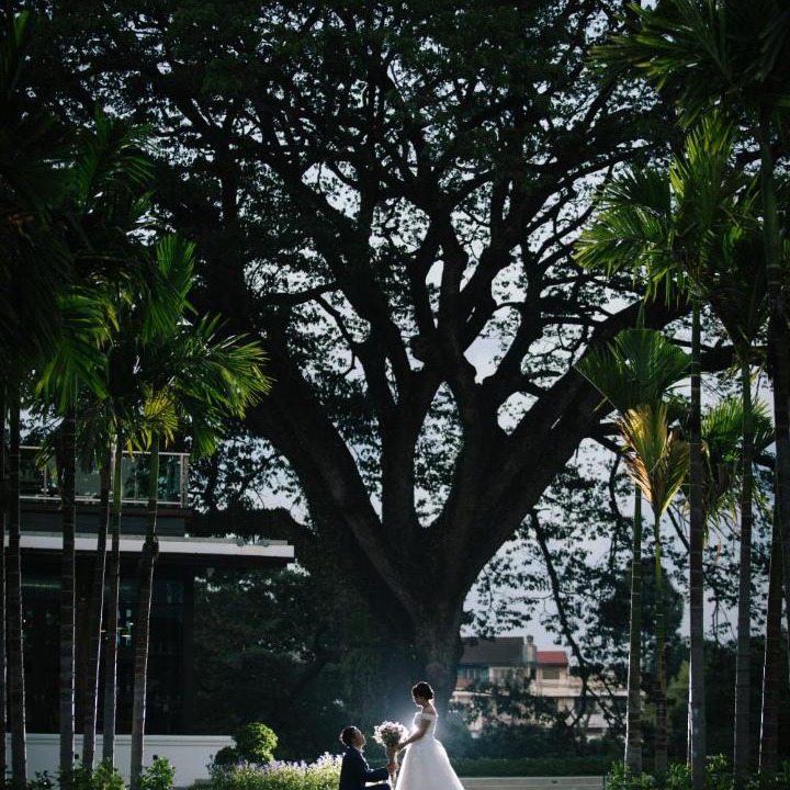 Photo of Others in Chang Khlan