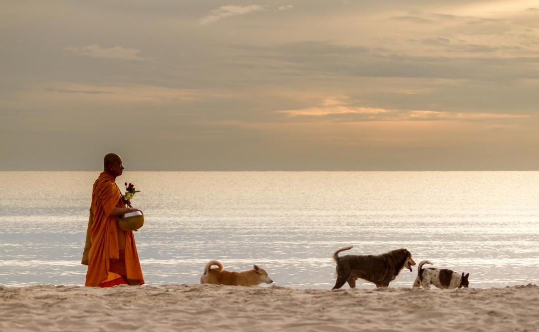 Photo of Others in Chaloklum