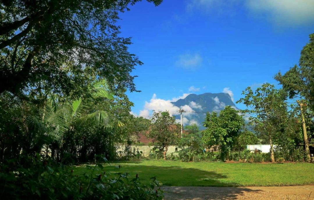 Photo of Others in Chiang Dao