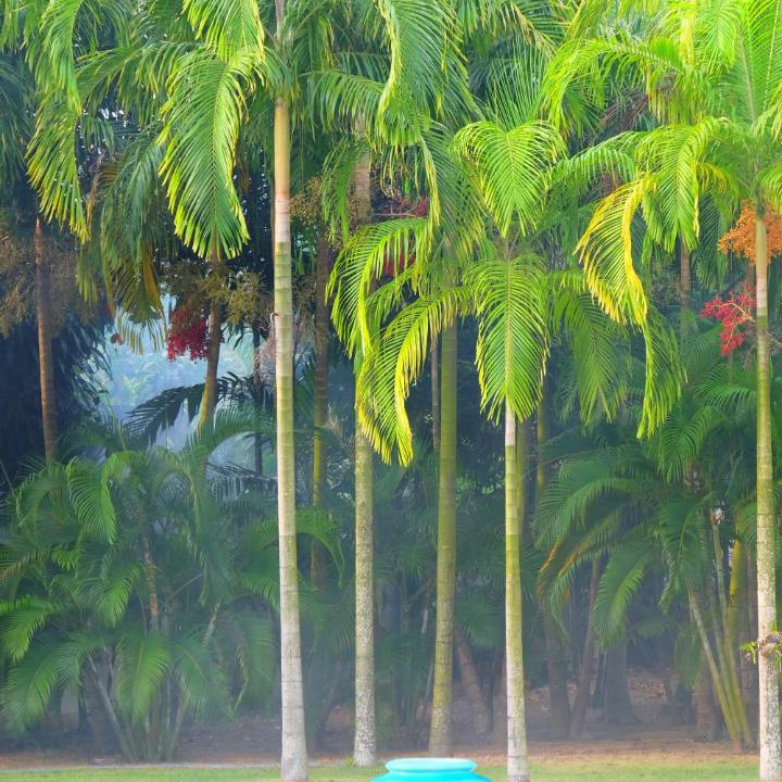 Photo of Others in Thep Kasattri