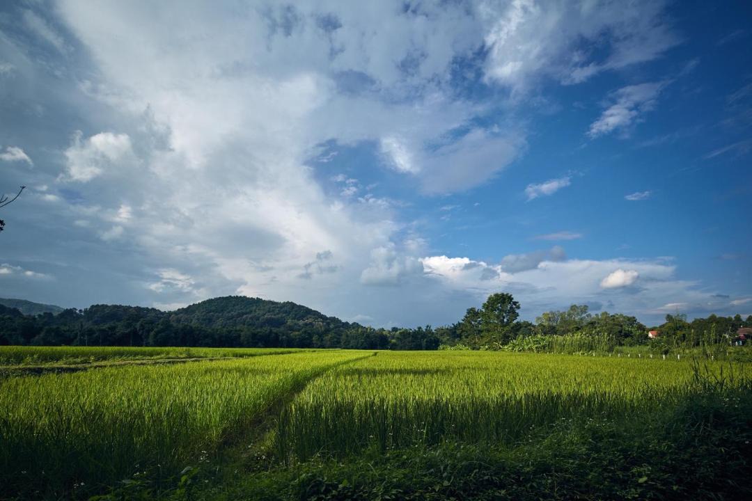 Photo of Others in Nang Lae