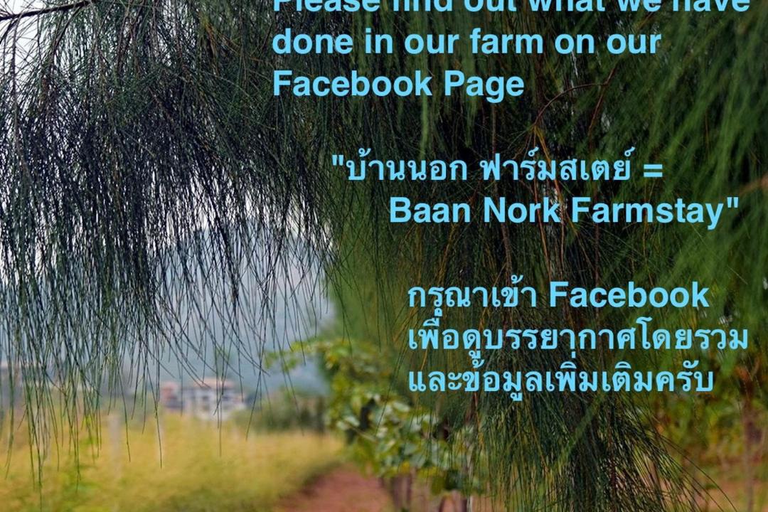 Photo of Others in Nong Nam Daeng