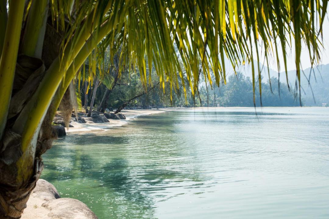 Photo of Others in Klong Son