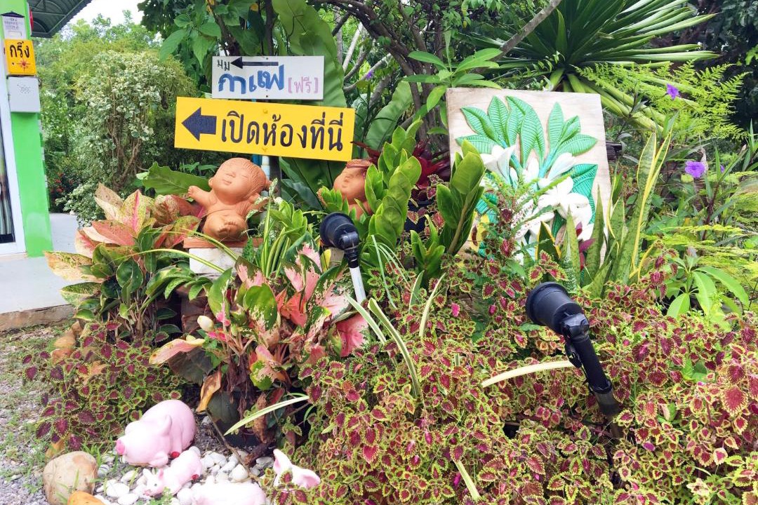 Photo of Others in Chumphon
