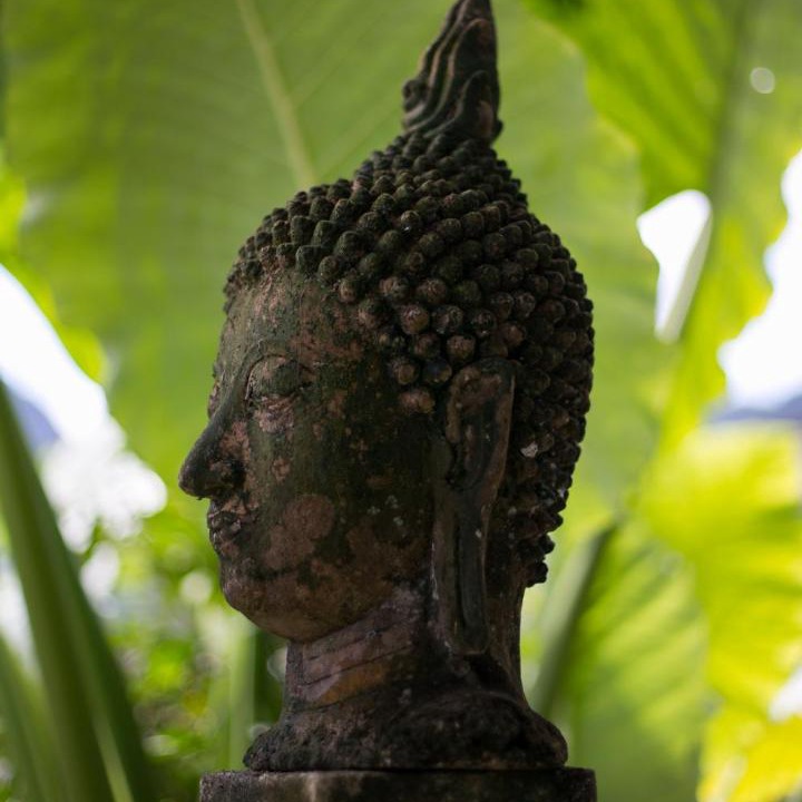 Photo of Others in Tham Nam Phut