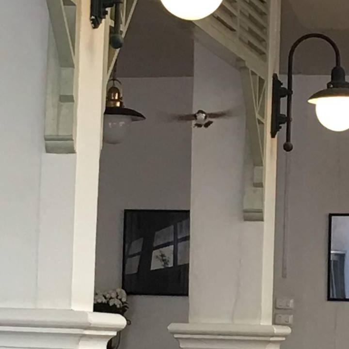 Photo of Others in Old City