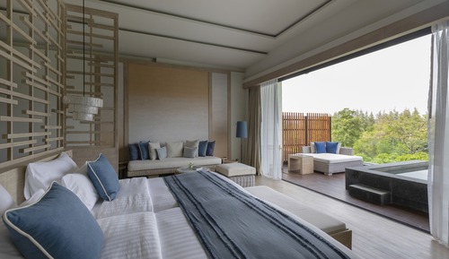 Deluxe sky pool suite