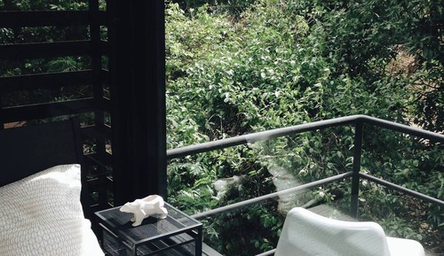 Studio Room Forest View
