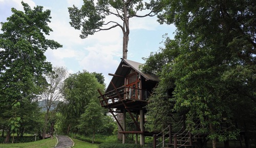 Loft Tree House