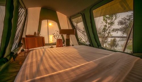 Glamping Suite