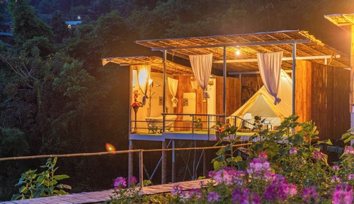 Tent, Garden View