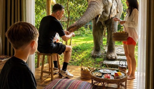 Elephants Morning With Bamboo House