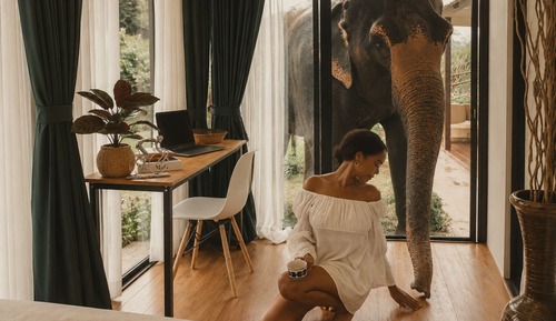 Single Room, River View
