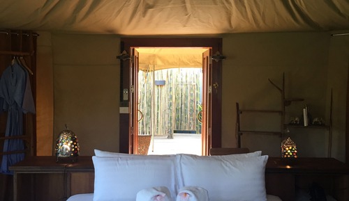 Tent