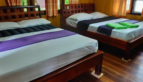 Friendship Suite