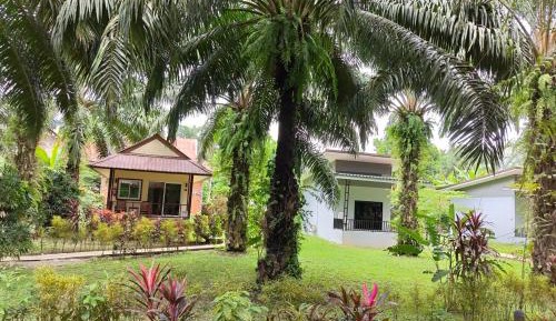 Double Room with Balcony and Air Conditioning