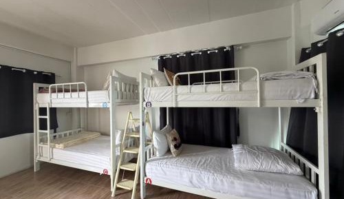 Bunk Bed in Mixed Dormitory Room