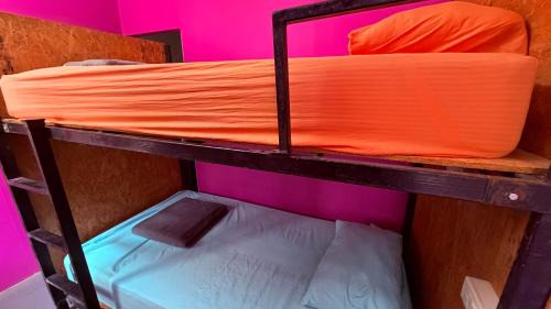Bed in 6-Bed Female Dormitory Room