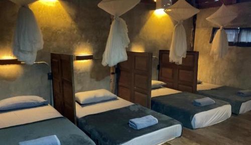 Bed in 4-Bed Mixed Dormitory Room
