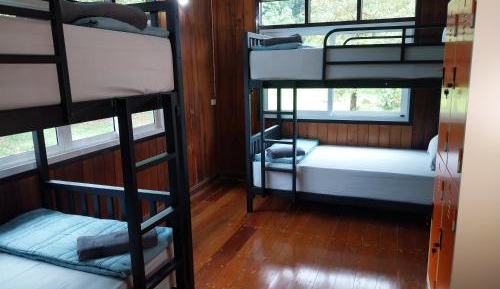 Bed in 4-Bed Female Dormitory Room
