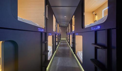 Single Bed in Mixed Dormitory Room