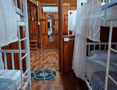 Bunk Bed in Mixed Dormitory Room
