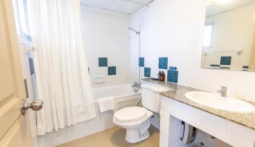 Deluxe One-Bedroom Apartment